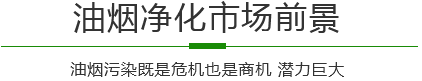 餐飲油煙凈化器,綠娃娃環(huán)保